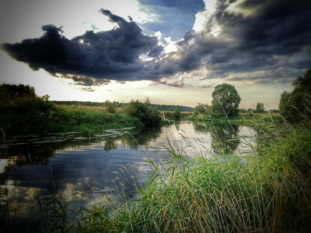 Река Шерна, Владимирская область - Аурика 