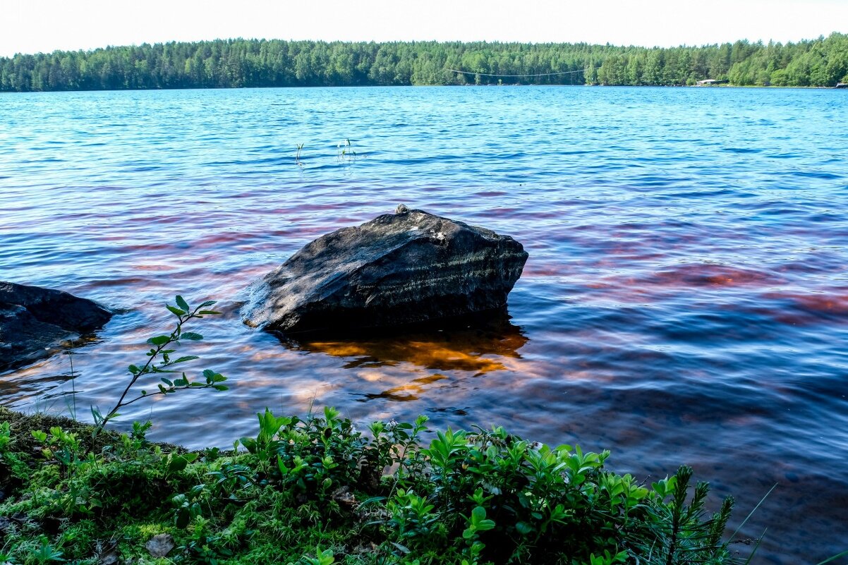 Красное дно - Георгий А