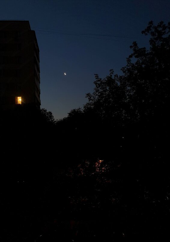 Ночь за окном - Марина Буренкова