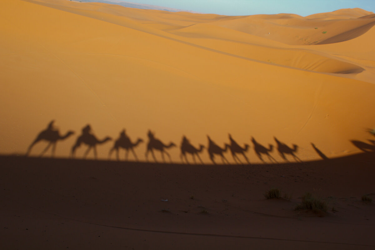 Наш караван в Сахаре - Олег Ы