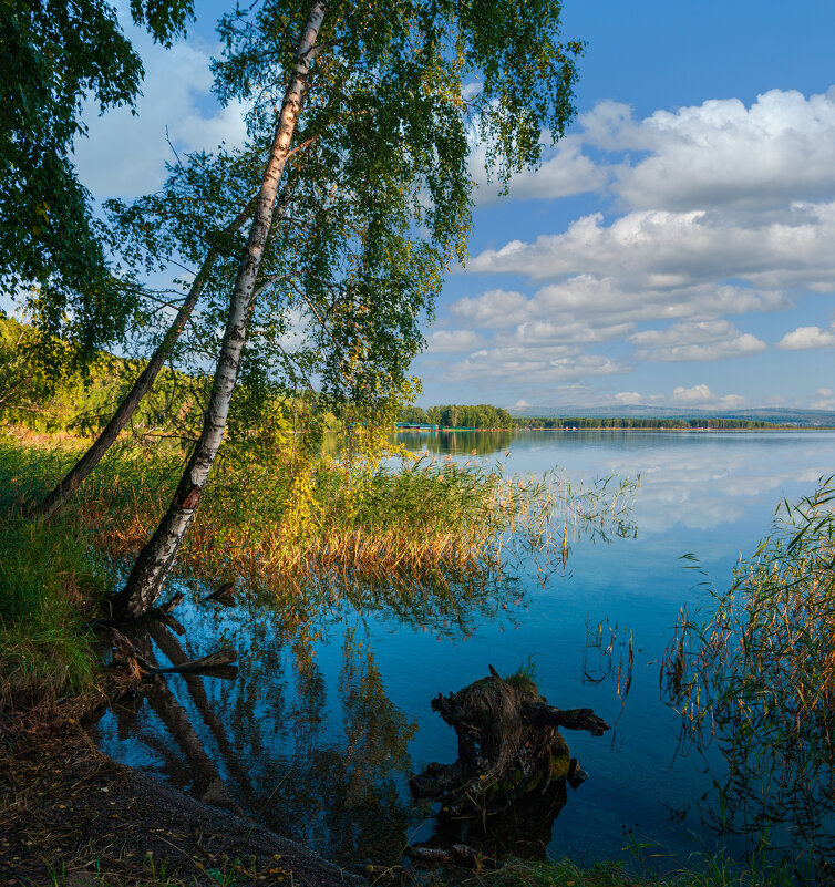 Летним днём у озера - Алексей Мезенцев