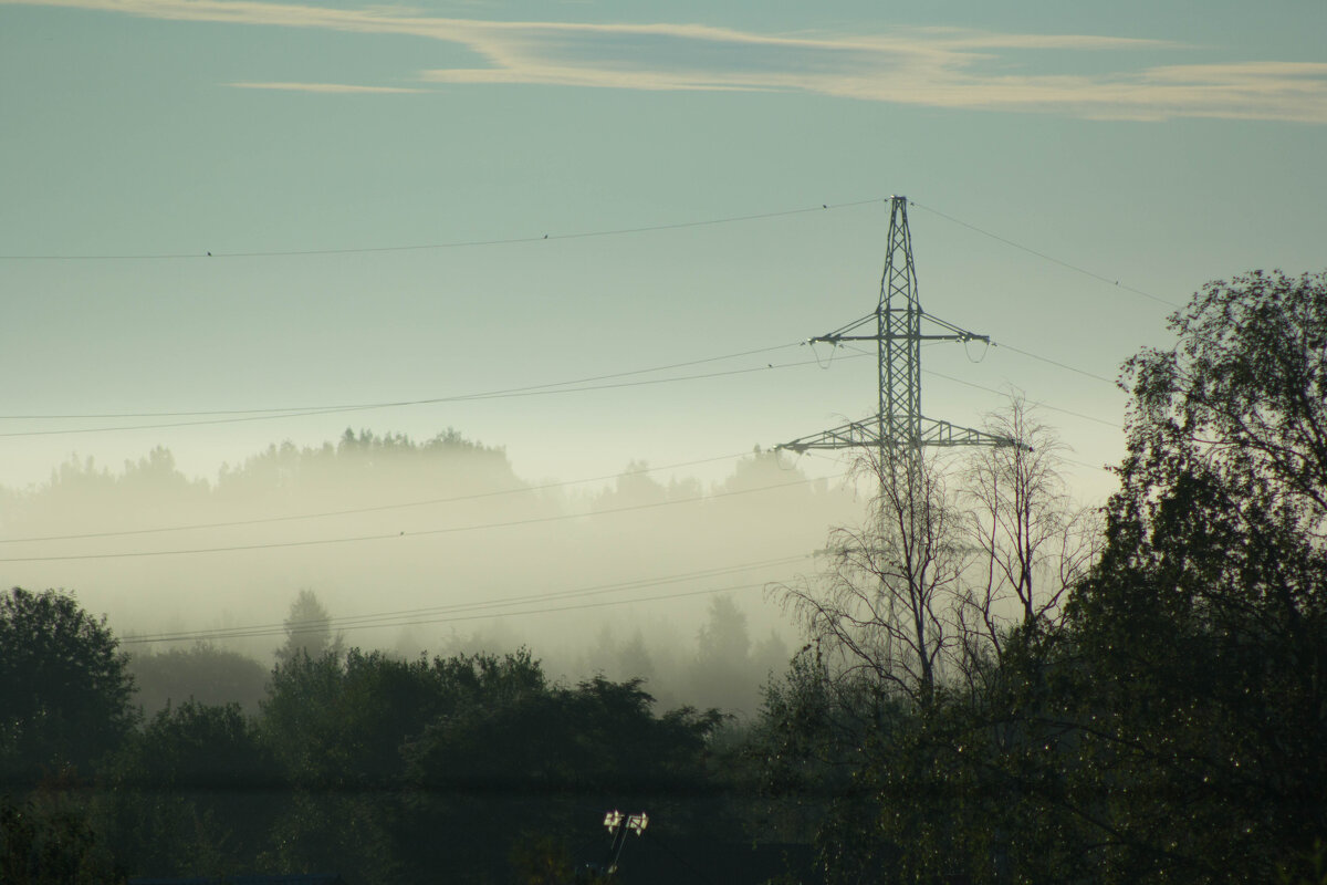 Утренний туман - Мария Surveyor