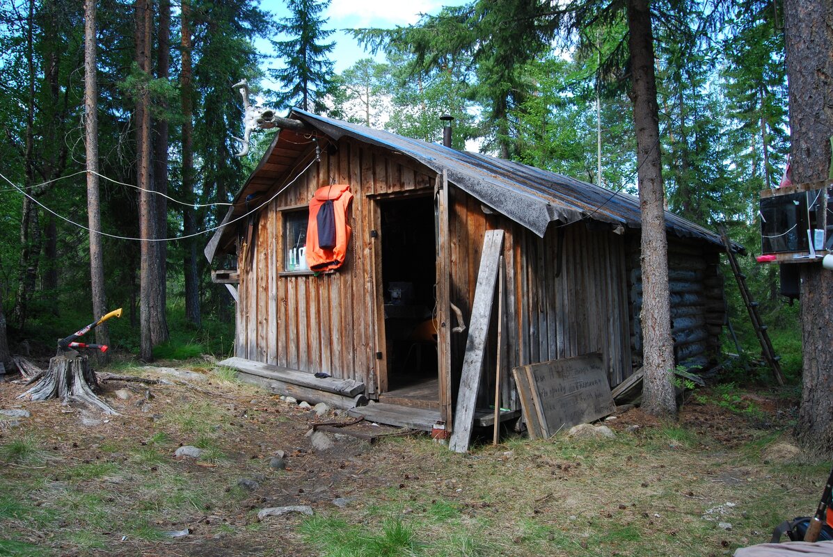 рыбацкий домик в лесу :: linnud – Социальная сеть ФотоКто