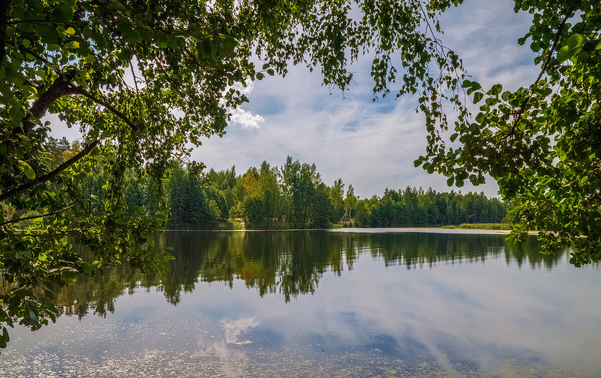 Озеро в лесу - Андрей Дворников