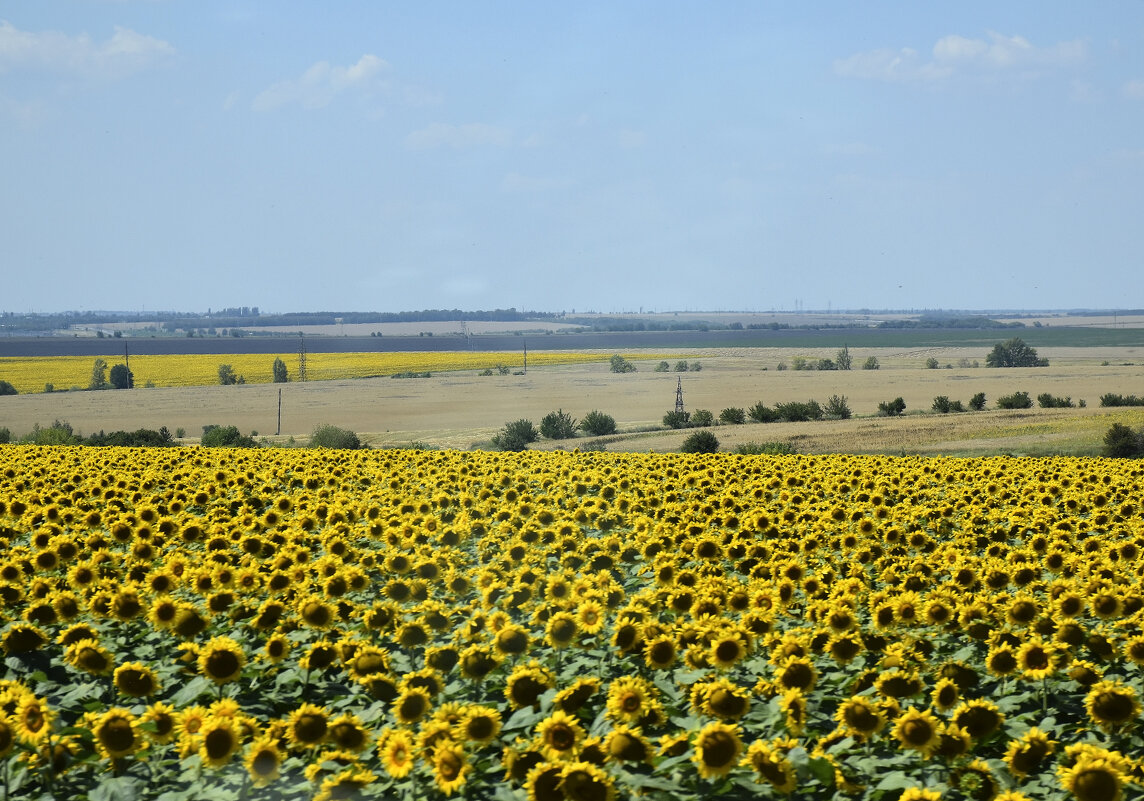 Любуюсь красотой из автомобиля... - Валентина  Нефёдова 