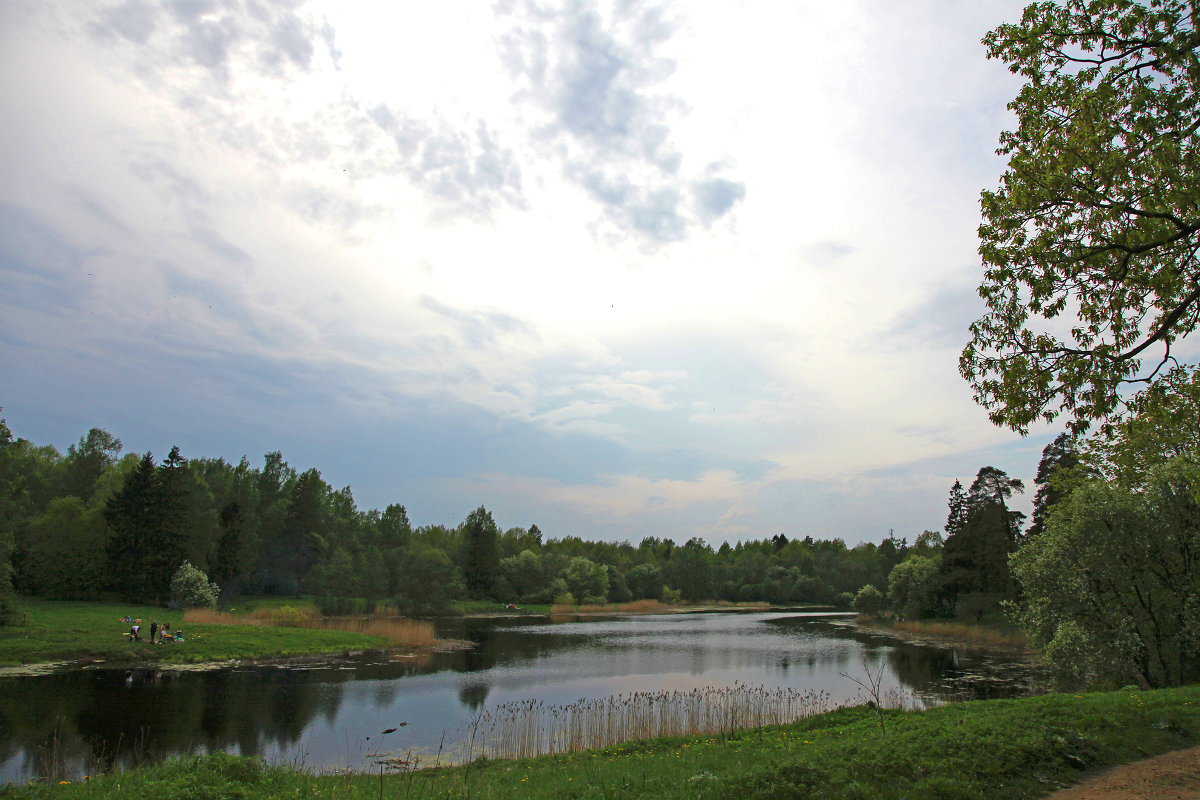 озеро в парке - Наталья 