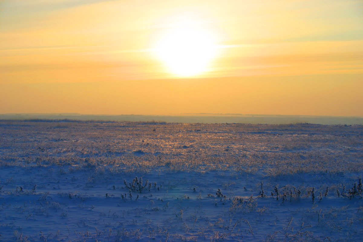 Белое солнце пустыни - Светлана Ропина