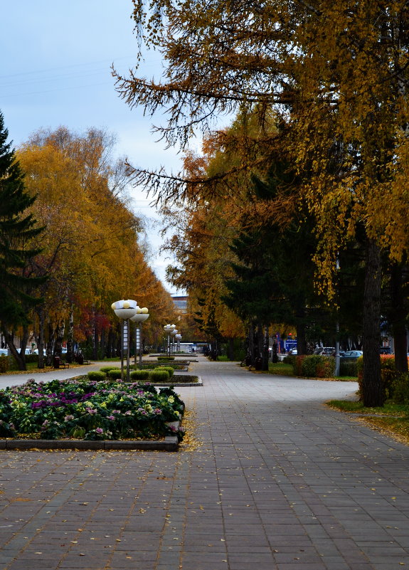 Осень на улице Весенней - Евгения Сихова
