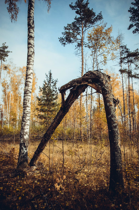 И - Константин Смирнов