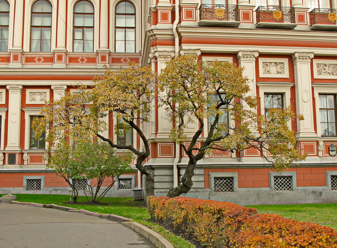 В севере Николаевского дворца - Олег Попков