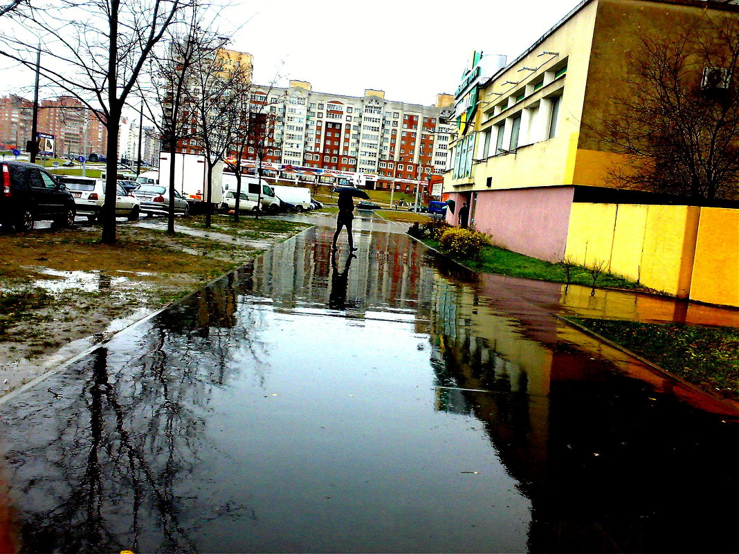 Дождь - Ольга 