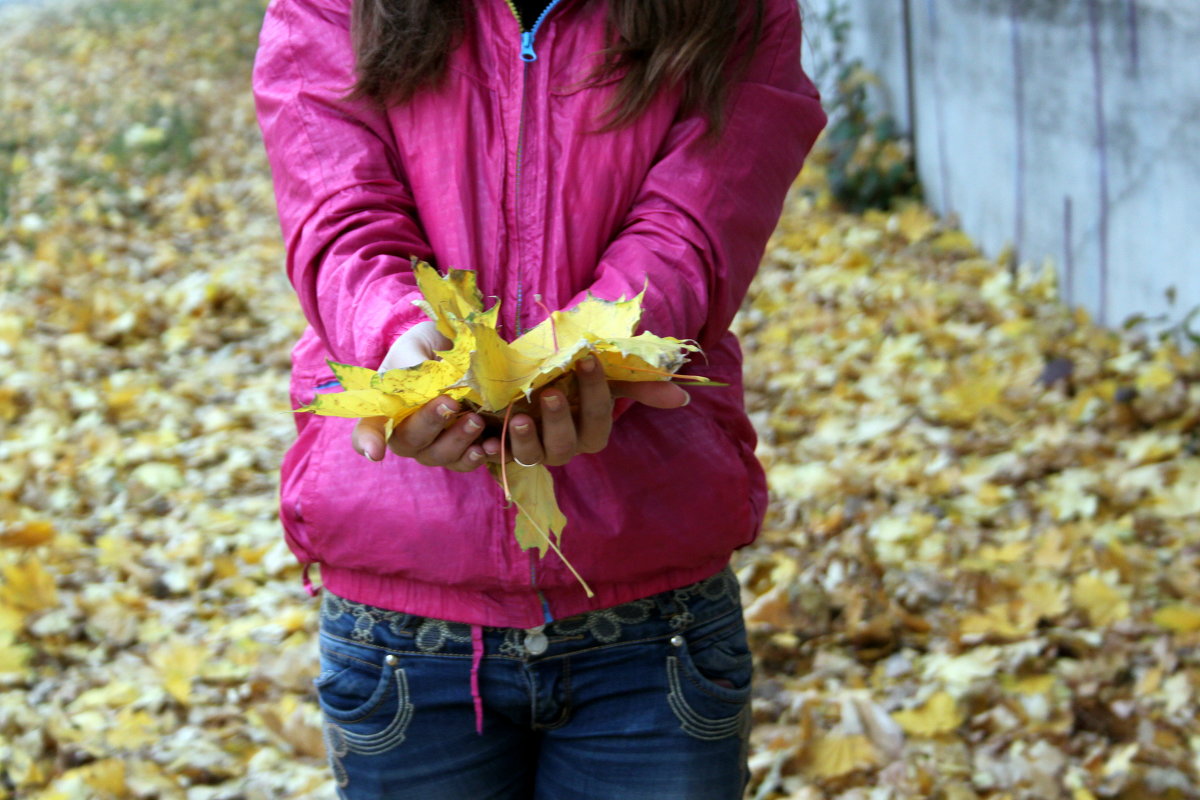 листья желтые - Svetlana 