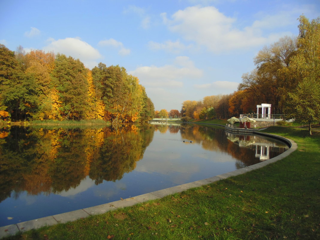 Осень на Комсомольском озере - Владислав Писаревский