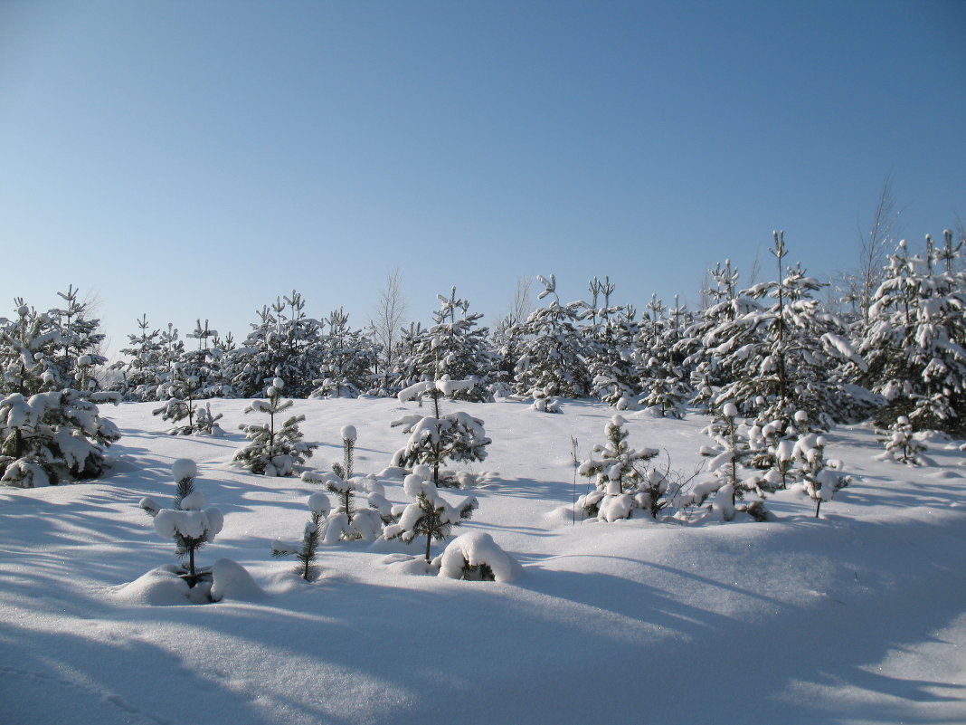 Зима - Irina 