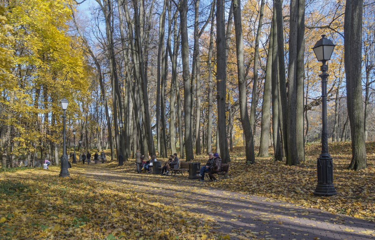 Золотая осень в Царицино - Виктор Тараканов