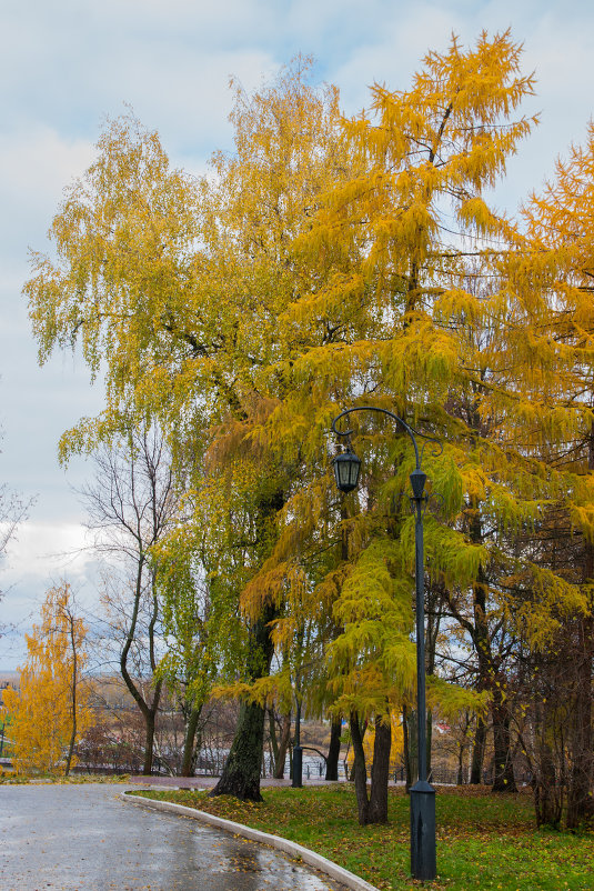 Осенний парк - Михаил 