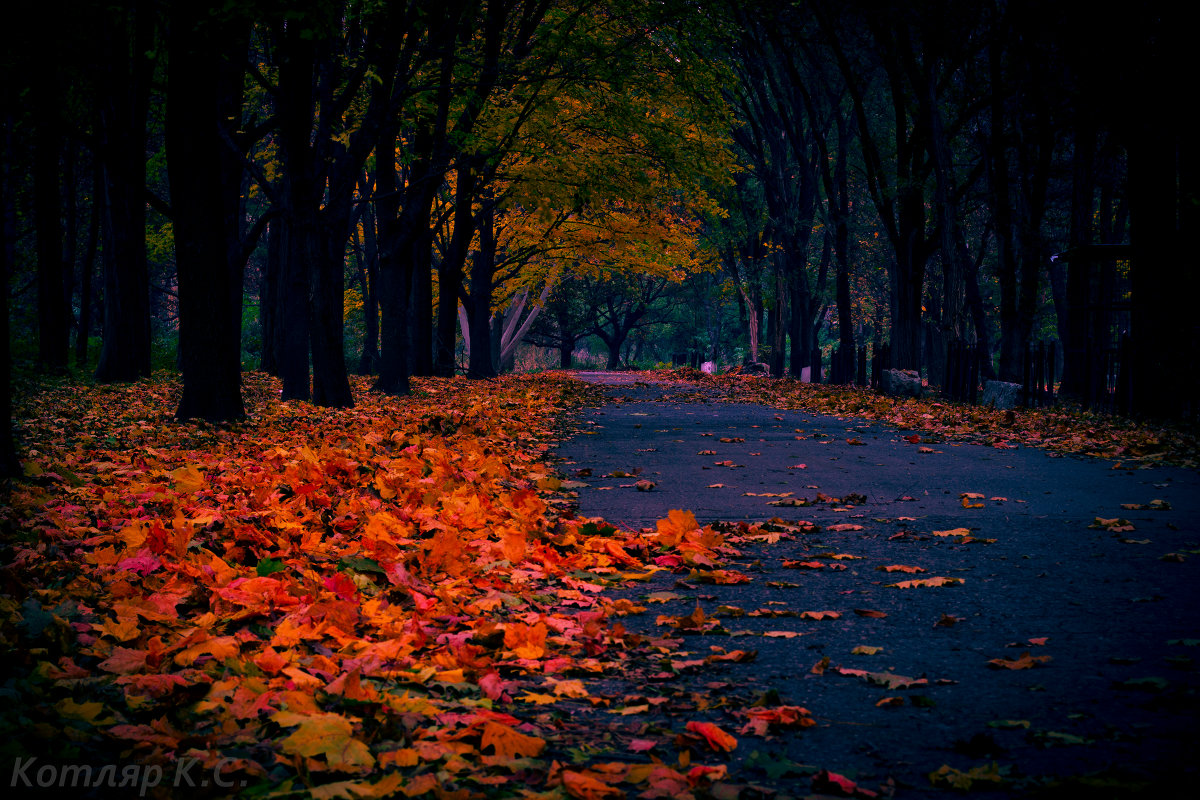 Осень - Kirill Kotlyar