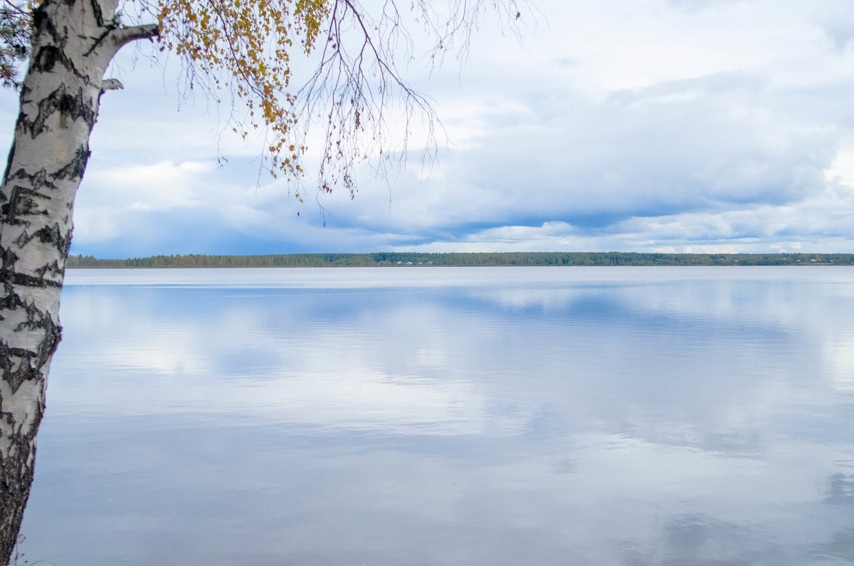 озеро белое - Наталья Макарова