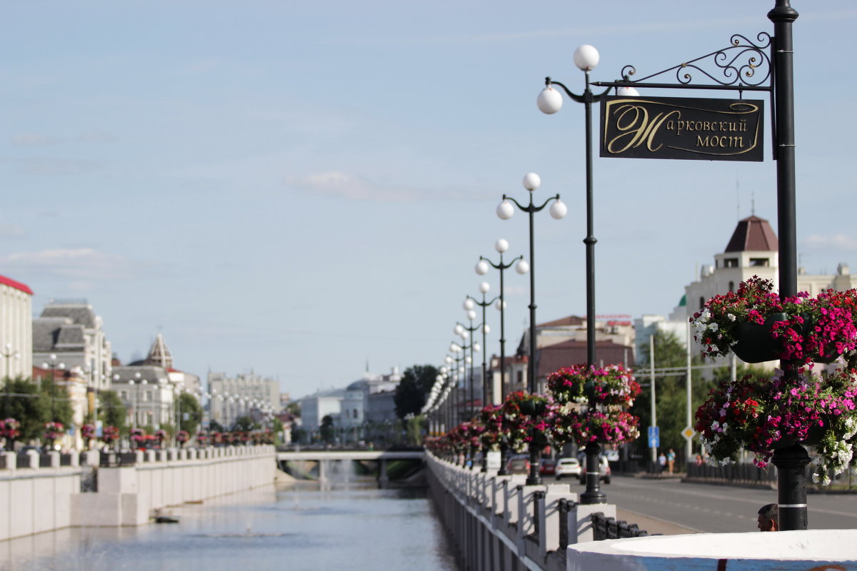 Павел Железняков - Казань Жарковский мост - Фотоконкурс Epson