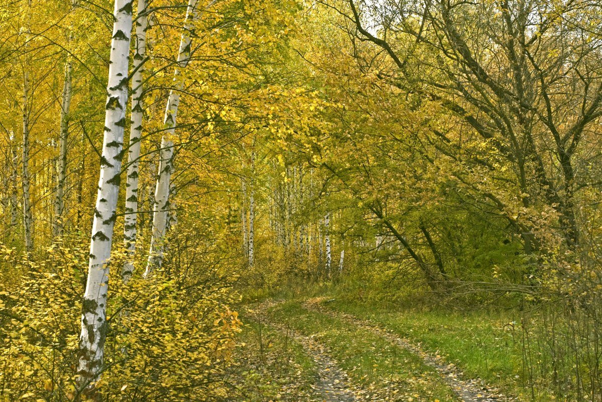 --- - Егор Гребенюк