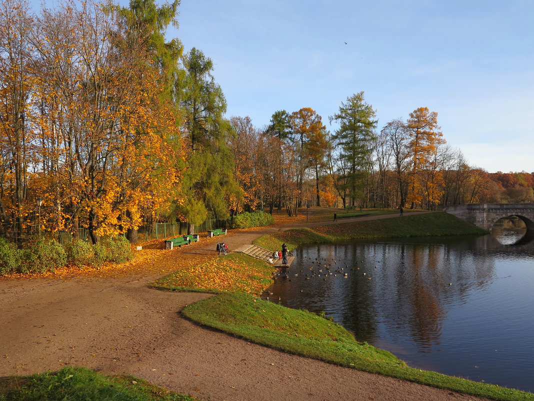 в парке - Наталья 