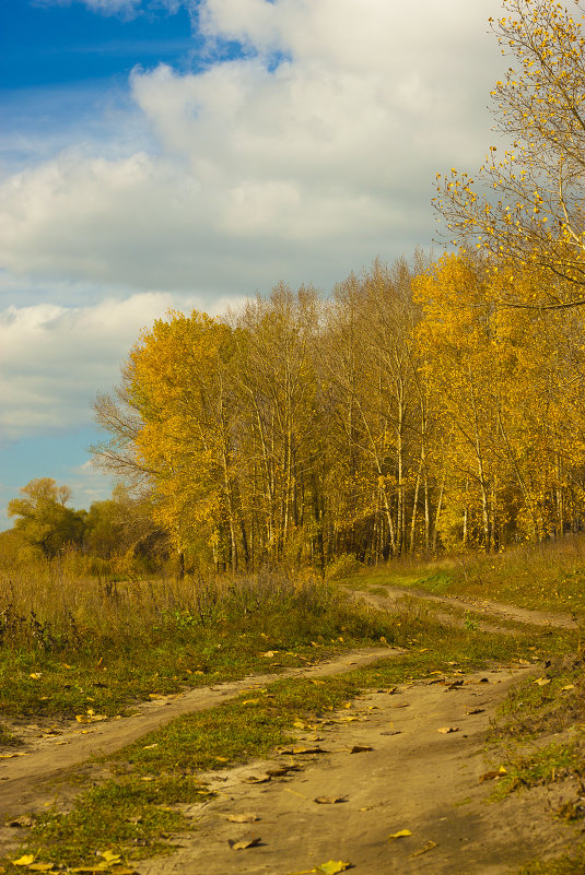 Осенний пейзаж - Юрий Клишин
