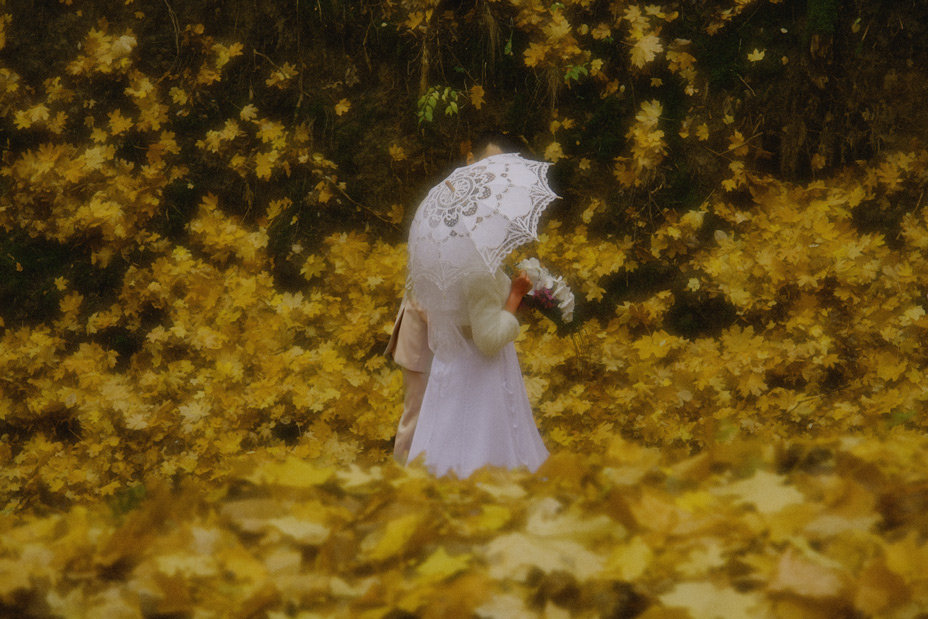 Осень - свадебная пора - Олег Самотохин