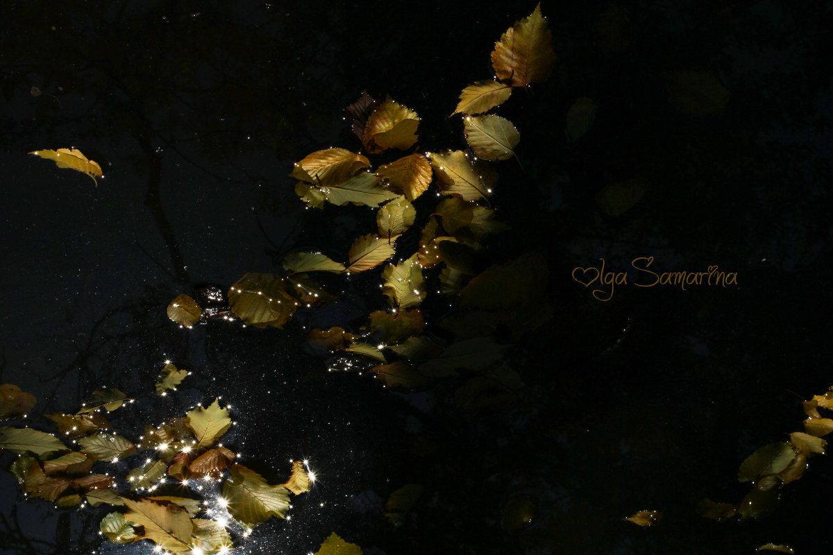 Осень - Ольга Самарина