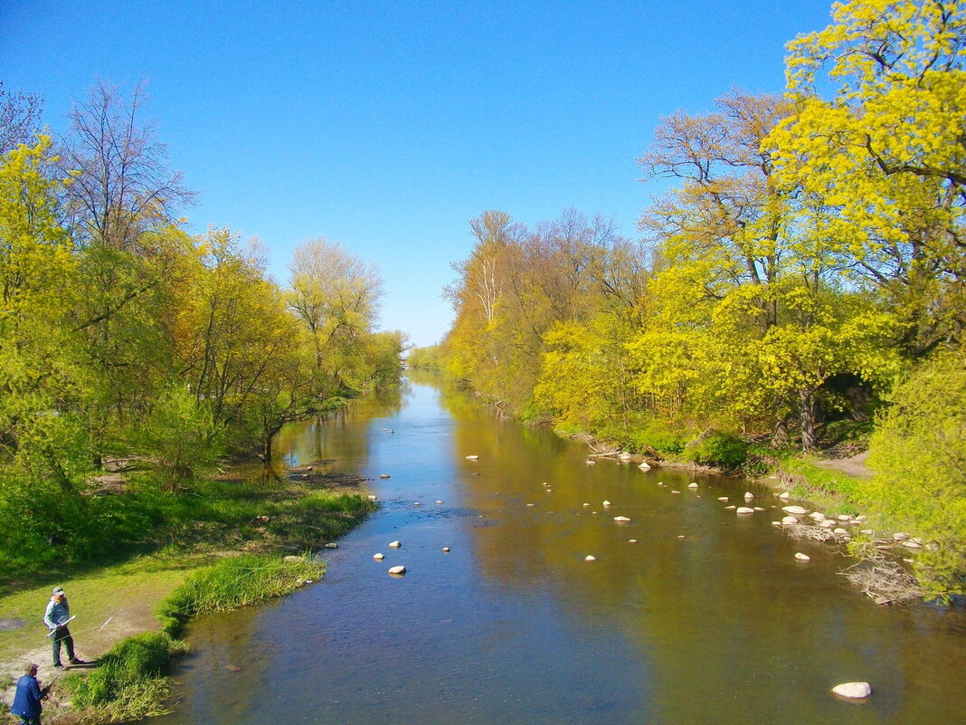 Весна на реке Стрелка. - Лия ☼