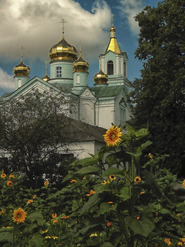 Купола - Роман Савоцкий