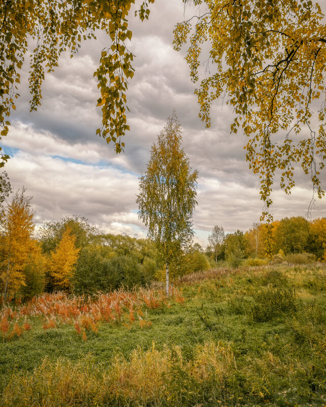 Осень сентябрь картинки