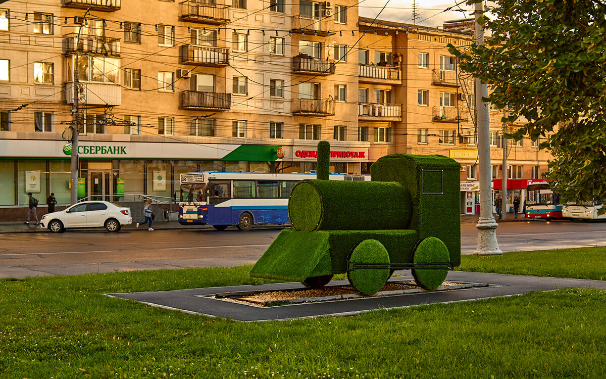 Паровозик из ромашково - Андрей 