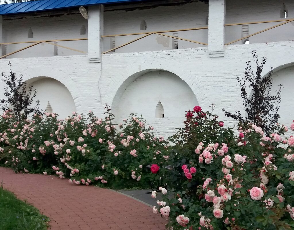 Вдоль стен монастыря - Galina Solovova