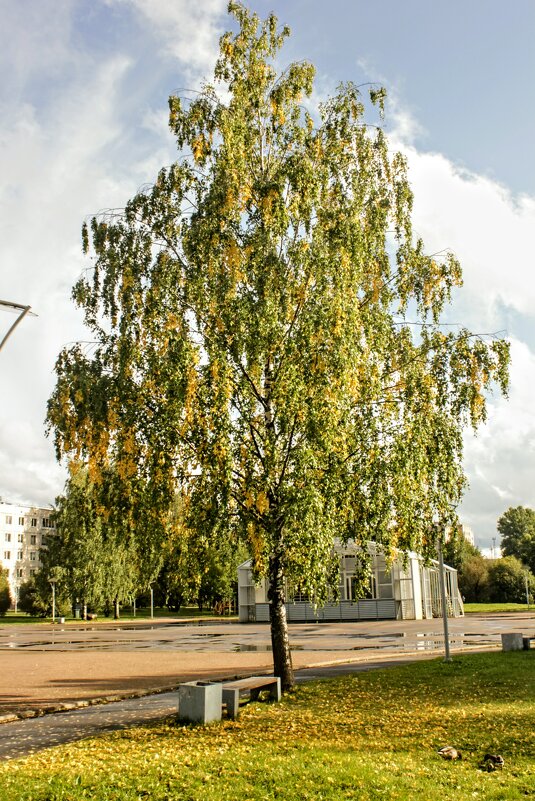 Осень - Сергей Кочнев