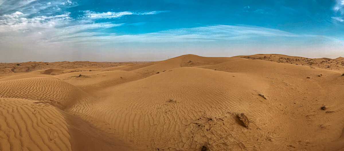 Аравийская пустыня - Светлана Карнаух