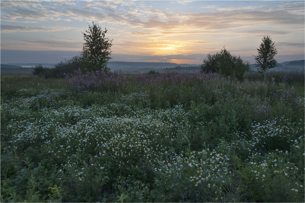 Рассвет - vedin 