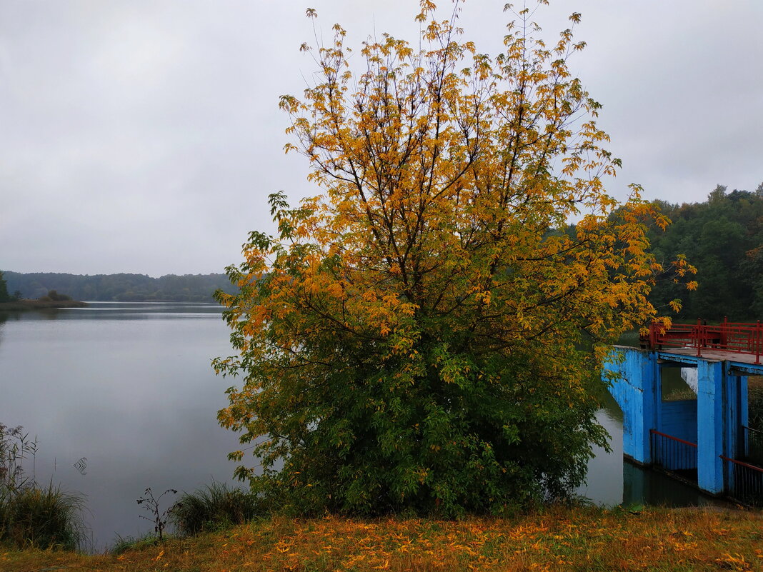 * * * - Андрей Лукьянов