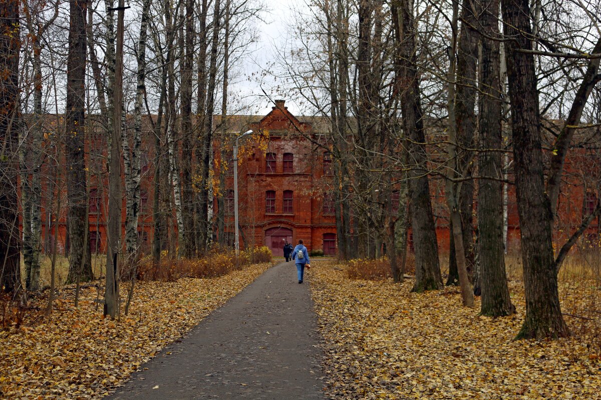 Осень Суворовского городка - Ольга 