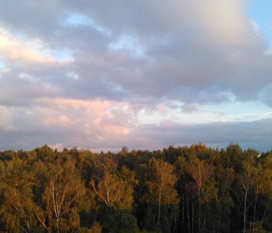 Вечернее небо над осенним лесом. - Gopal Braj