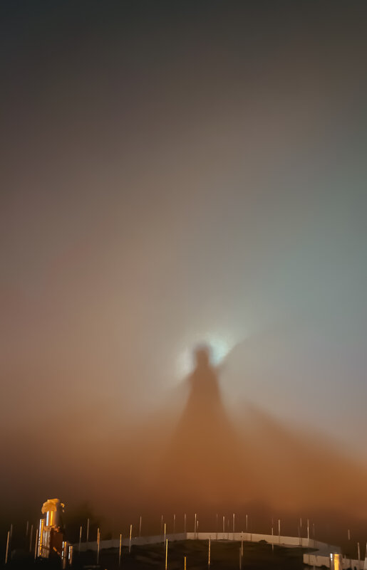 Автопортрет в тумане - Светлана Карнаух