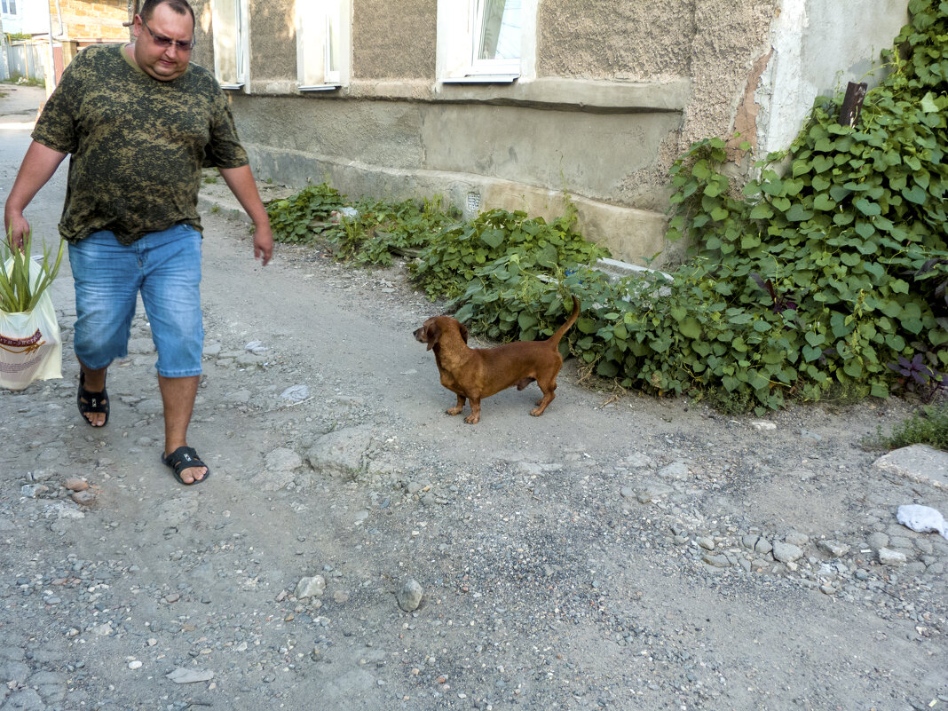 Жизнь  в старом  городе - Валентин Семчишин