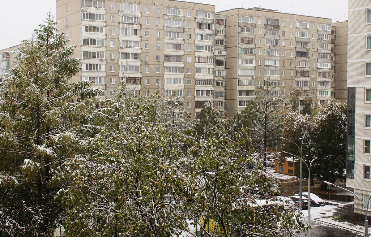 Первый снег. - sav-al-v Савченко
