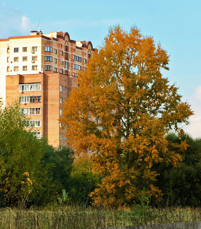 Осень в городе - Светлана 