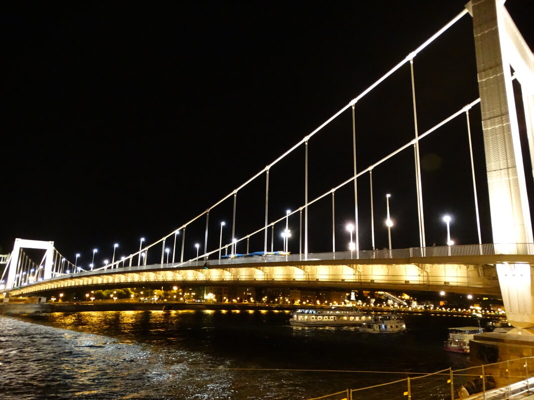 Мост Эржебет, Дунай, Будапешт - svk *