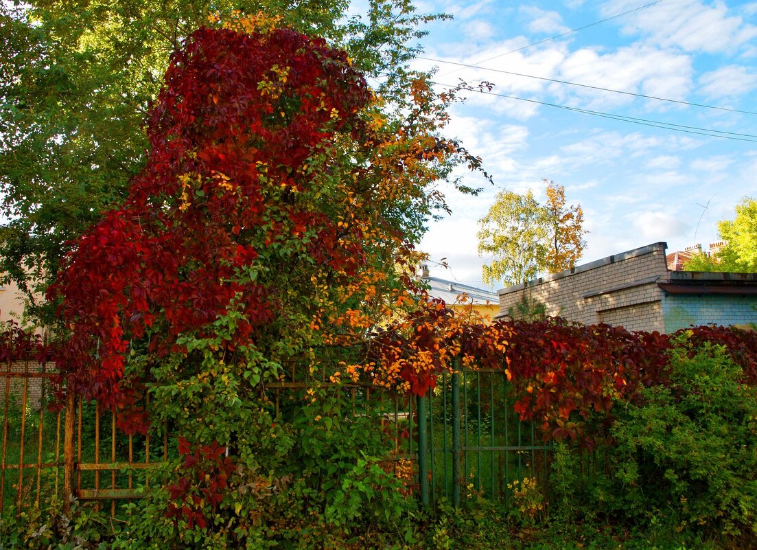 Осень на задворках - Кулага Андрей Андреевич 