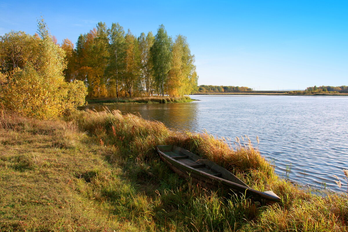 Осенний пейзаж со старой лодкой... - Нэля Лысенко