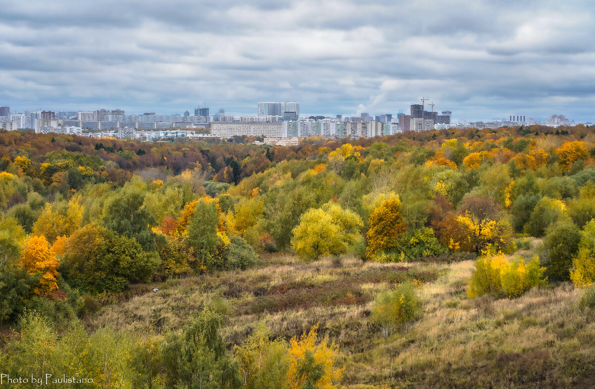 Московская осень... - Владимир Жданов