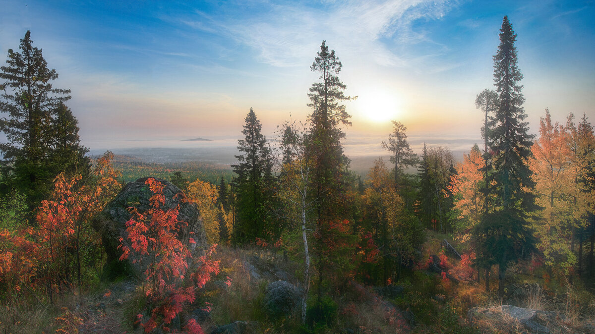 Осенний пейзаж - Vladimbormotov 