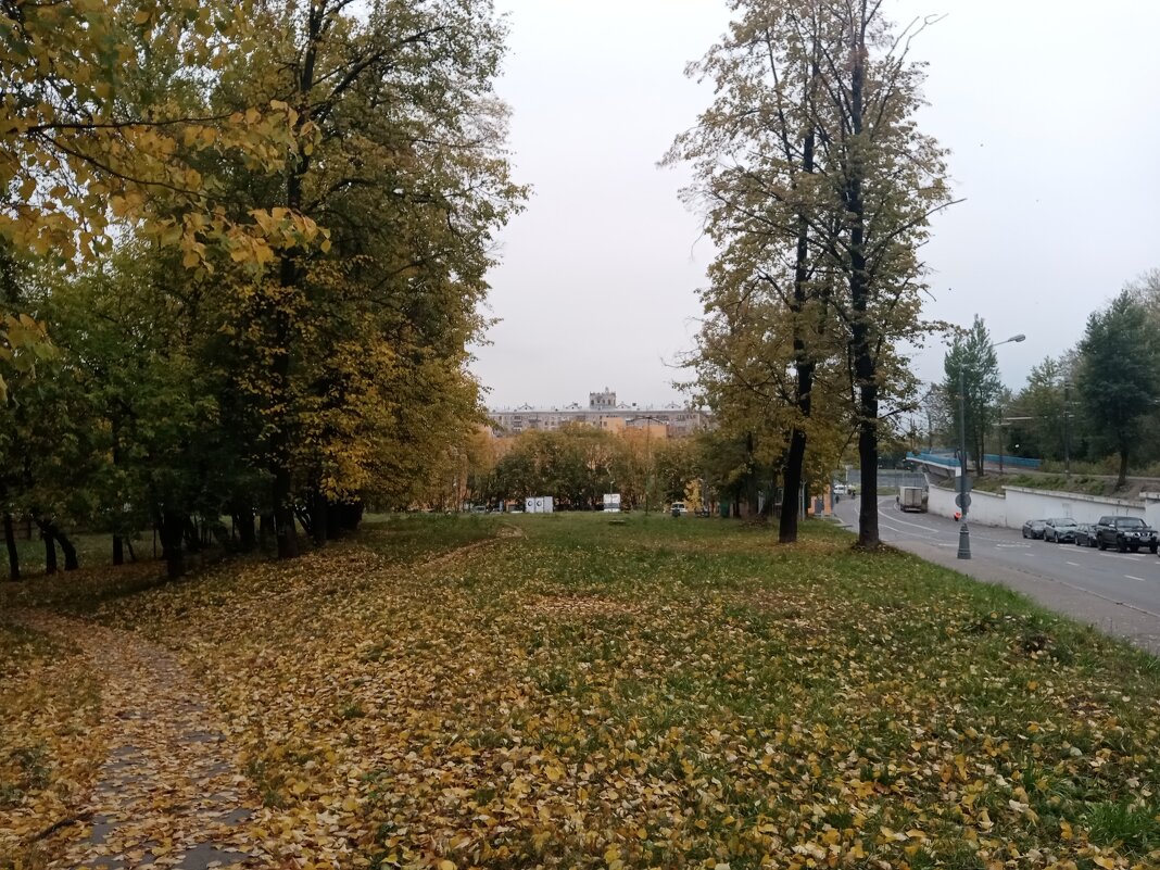 Осень, - Владимир Драгунский