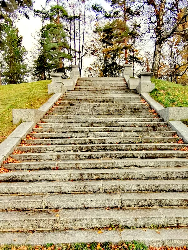 Гранитная лестница к Мариентальному пруду - Сергей 